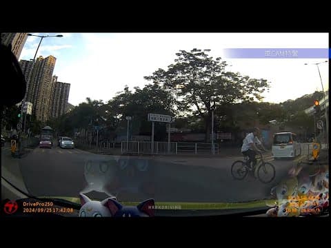 車CAM直擊 - 阿伯想死就唔好累人，好彩我揸得慢 #田心街