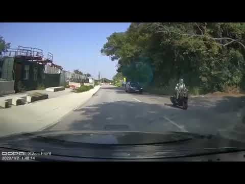 車CAM直擊 - 避無可避，狗狗跑出馬路炒低電單車