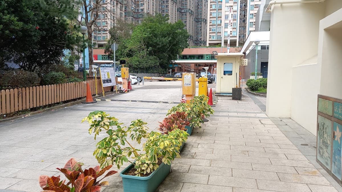 和興體育館停車場 實景照片 4