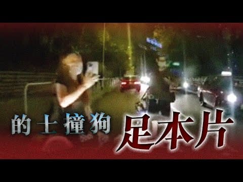 拆解三大疑團！的士撞斃流浪狗足本車cam片｜黃大仙富山邨｜Channel C HK