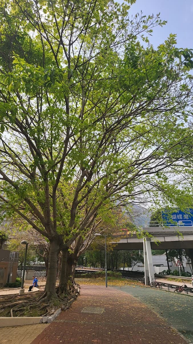 龍逸邨停車場 實景照片 10