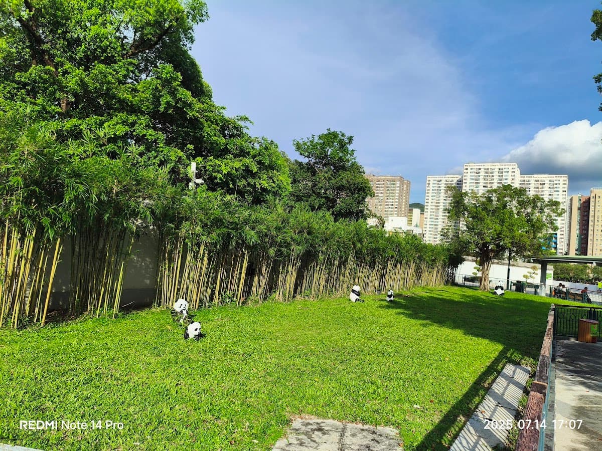 沙田大會堂停車場 實景照片 3
