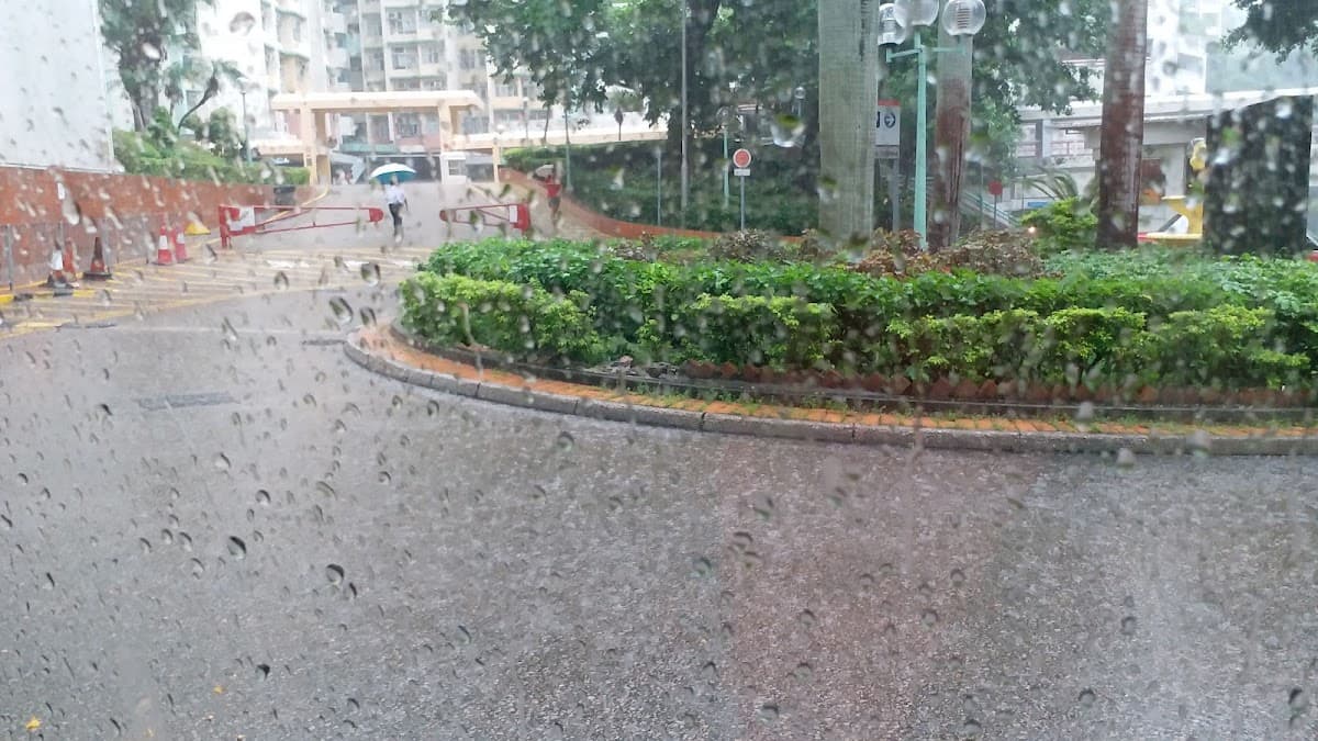 高俊苑停車場 實景照片 10