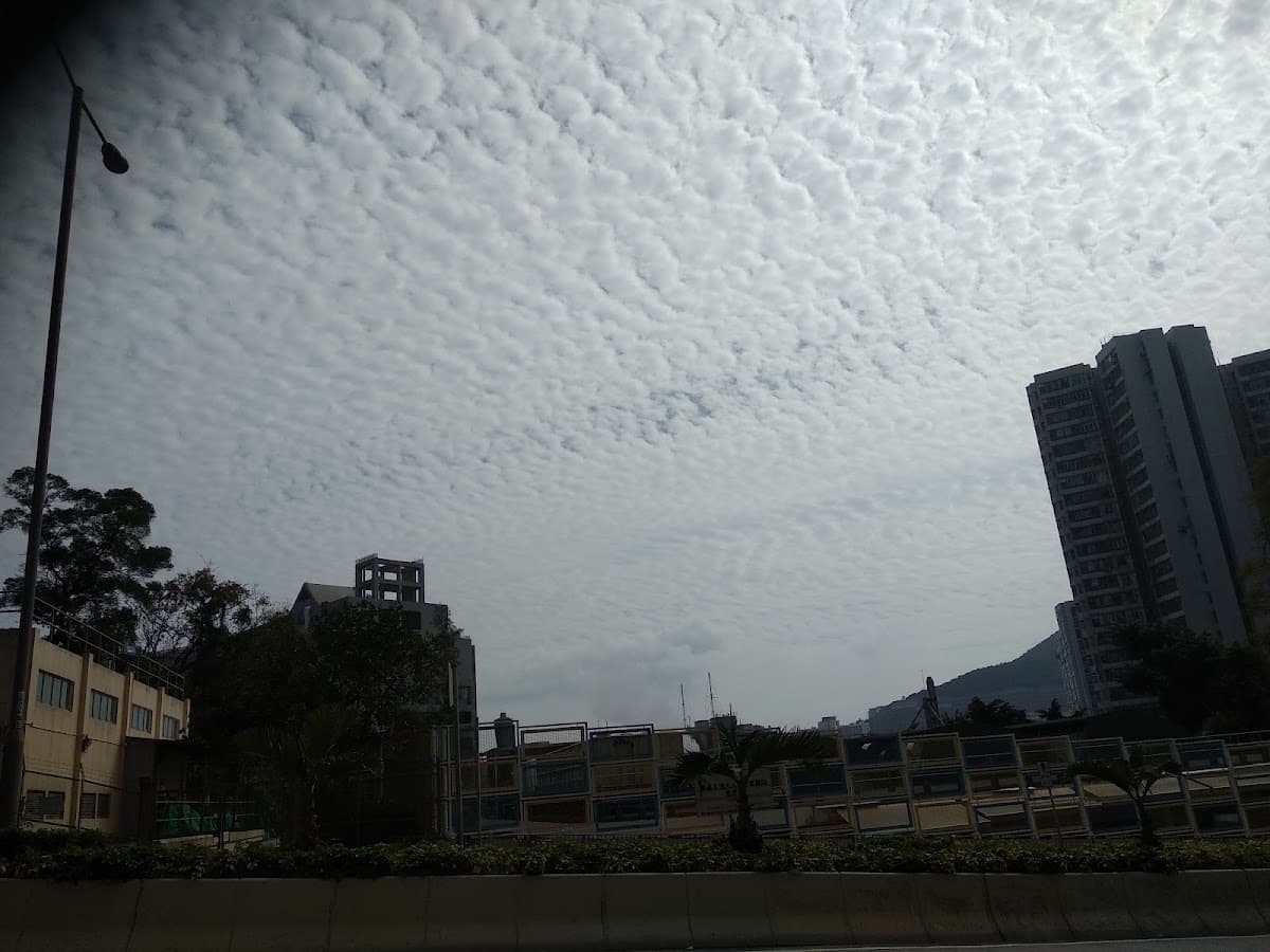 東區尤德夫人那打素醫院停車場 實景照片 6