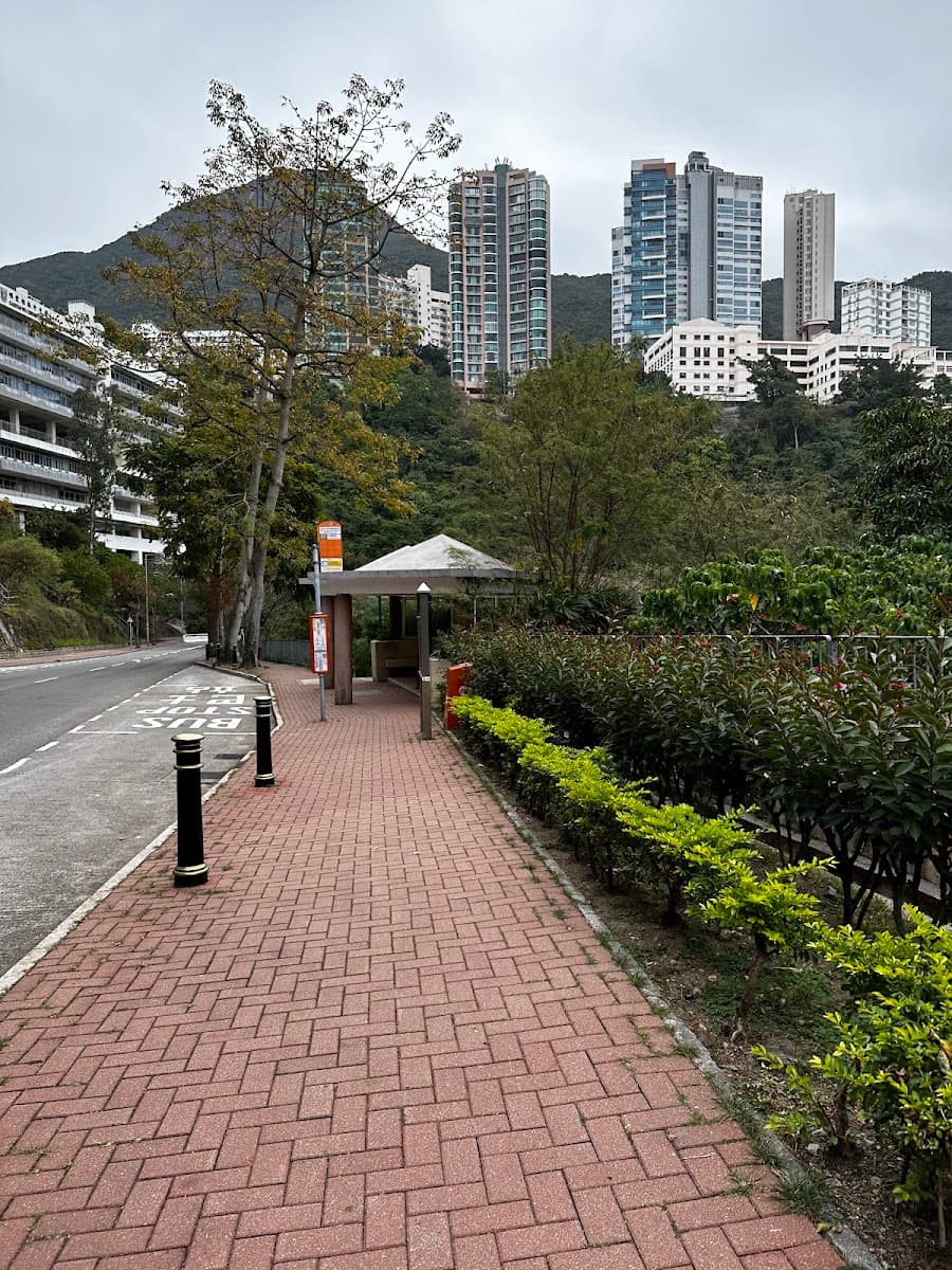 香港大學李嘉誠醫學院 Li Ka Shing Faculty of Medicine 停車場 實景照片 8