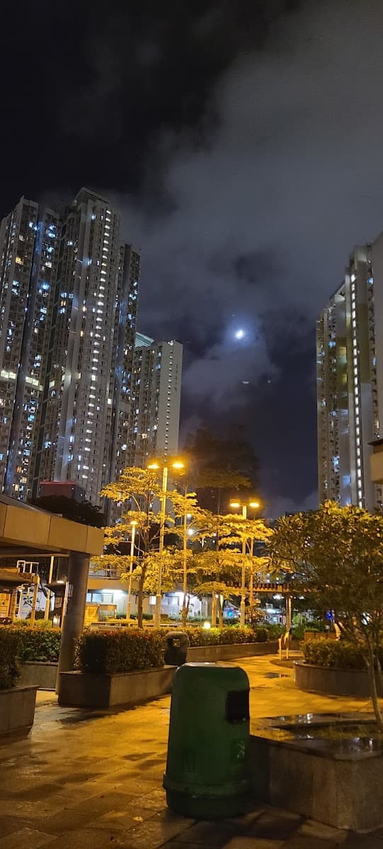 佐敦谷游泳池停車場 實景照片 5