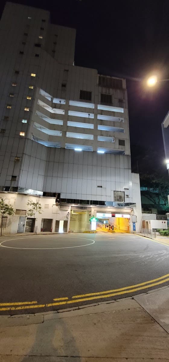 佐敦香港童軍中心停車場 (龍堡國際) 實景照片 8