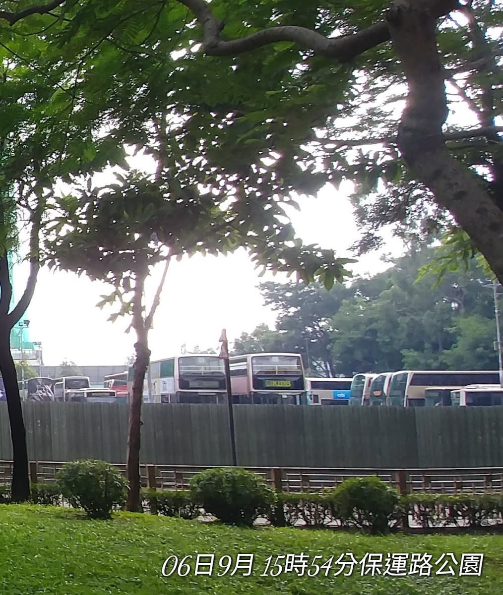 上水寶石湖路露天停車場 實景照片 1
