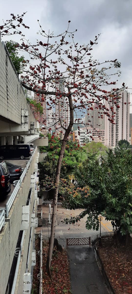 竹園廣場停車場 實景照片 3