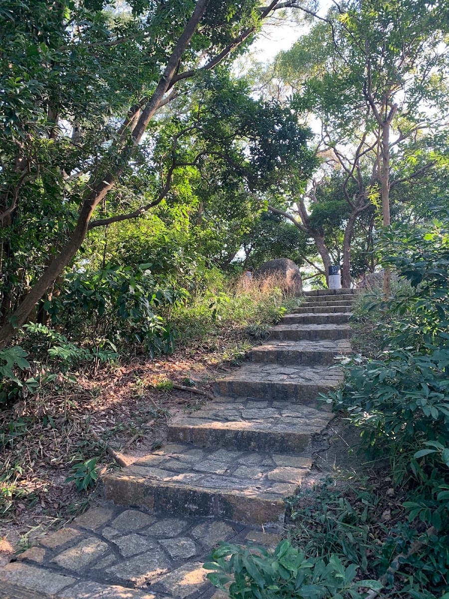 翠麗花園停車場 實景照片 8