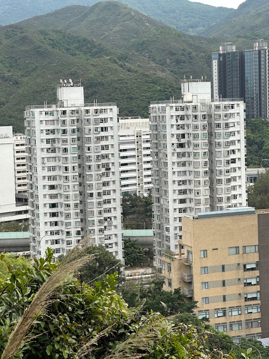 翠麗花園停車場 實景照片 1