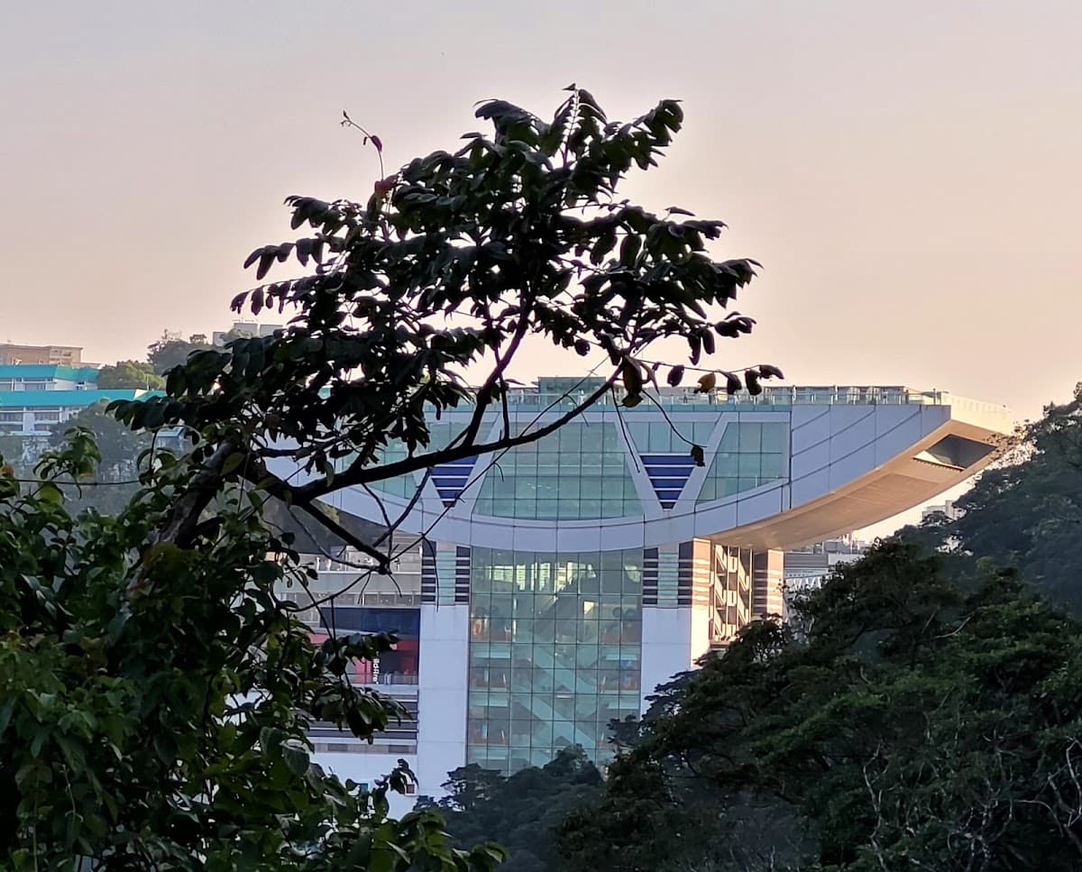 山頂廣場 Peak Galleria 停車場 實景照片 6