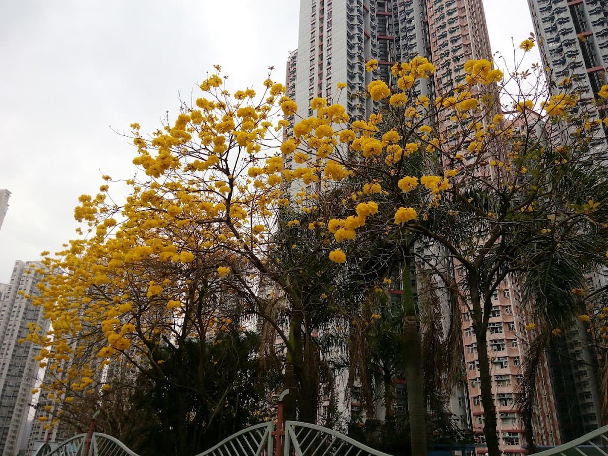 天晴邨停車場 實景照片 8