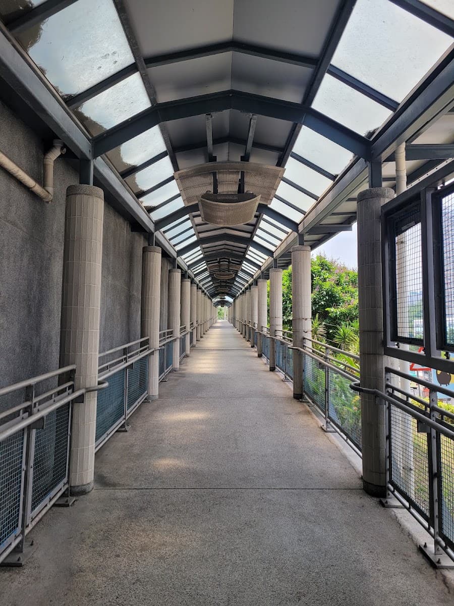 坪石遊樂場停車場 實景照片 9