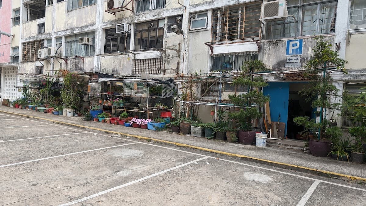 大坑西新邨停車場 實景照片 10
