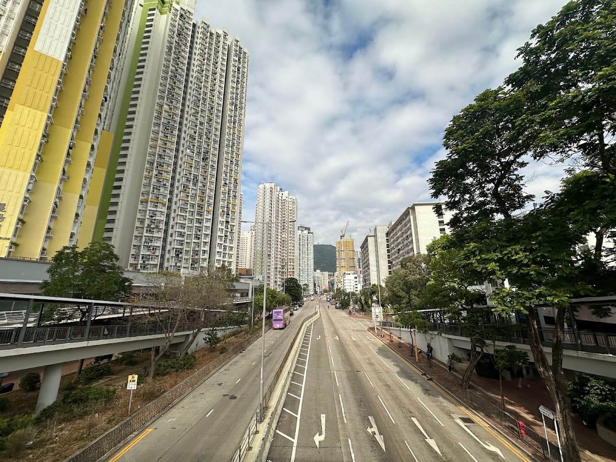麗翠苑停車場 實景照片 4