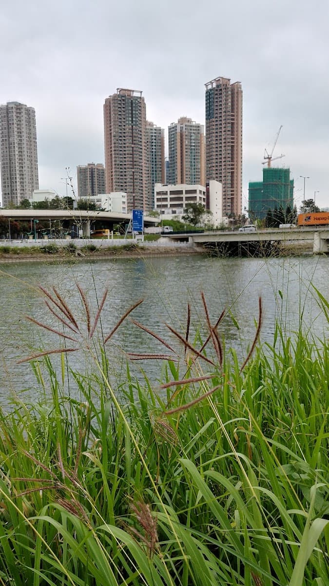龍逸邨停車場 實景照片 7