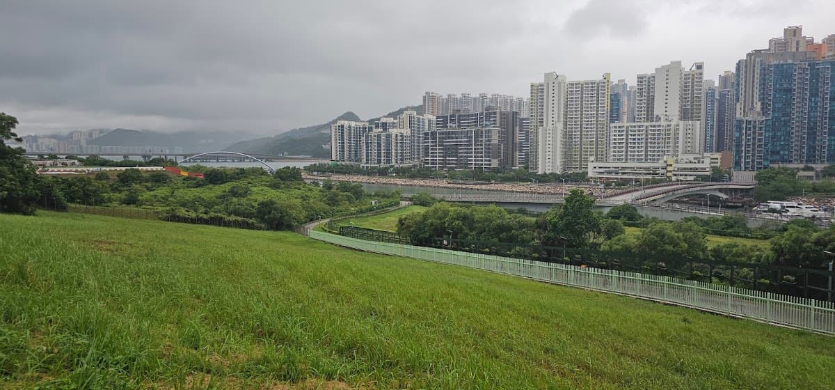 環保大道寵物公園停車場 實景照片 8