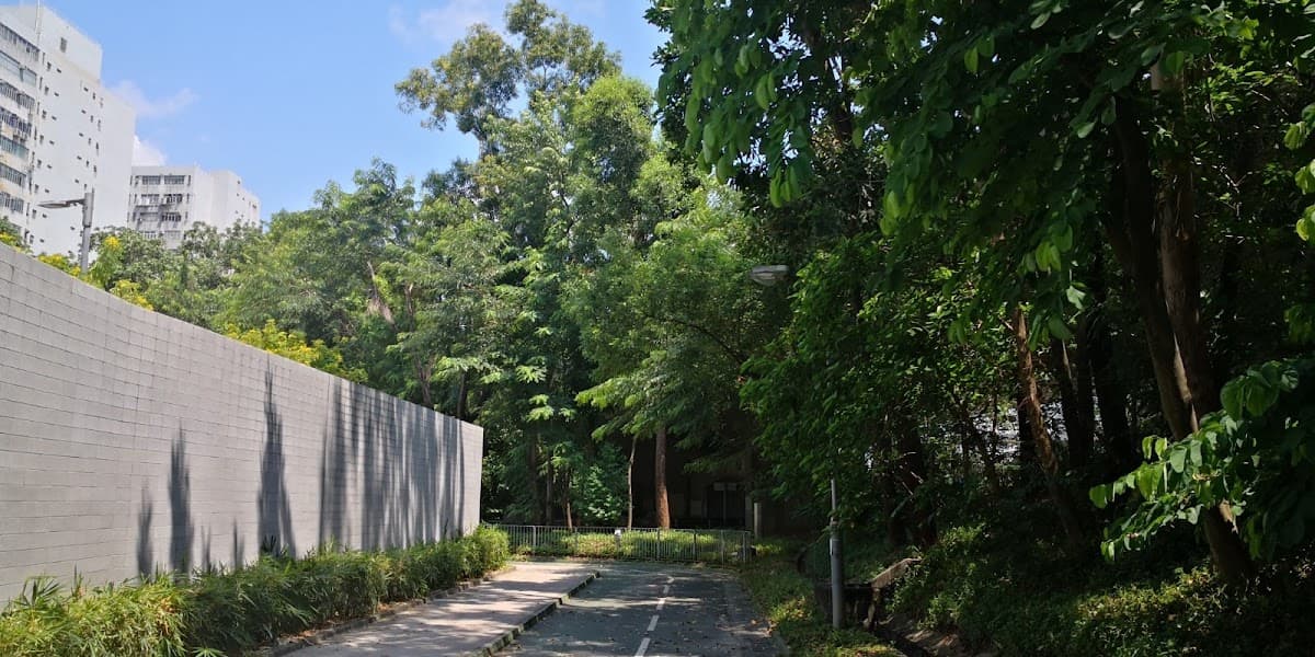 龍逸邨停車場 實景照片 8