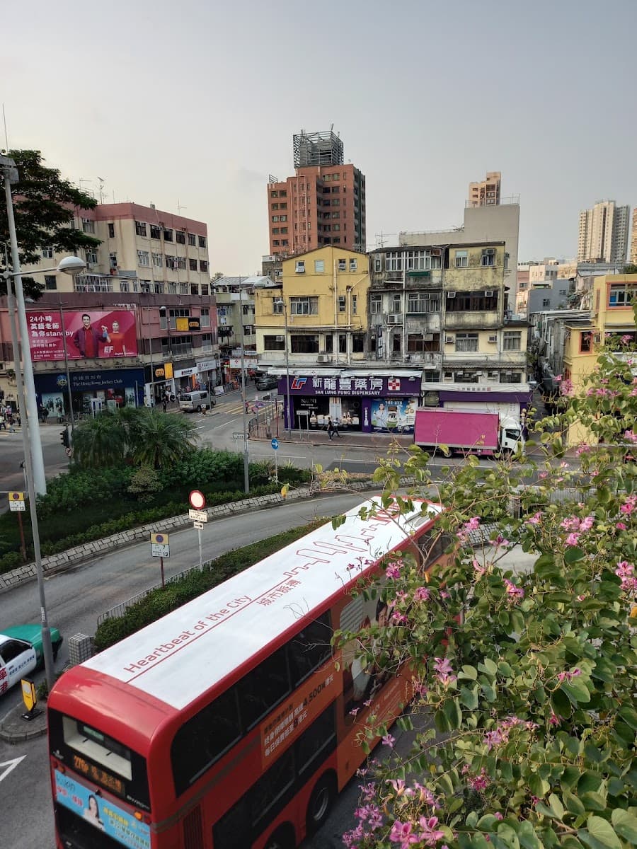 寶石湖邨停車場 實景照片 4