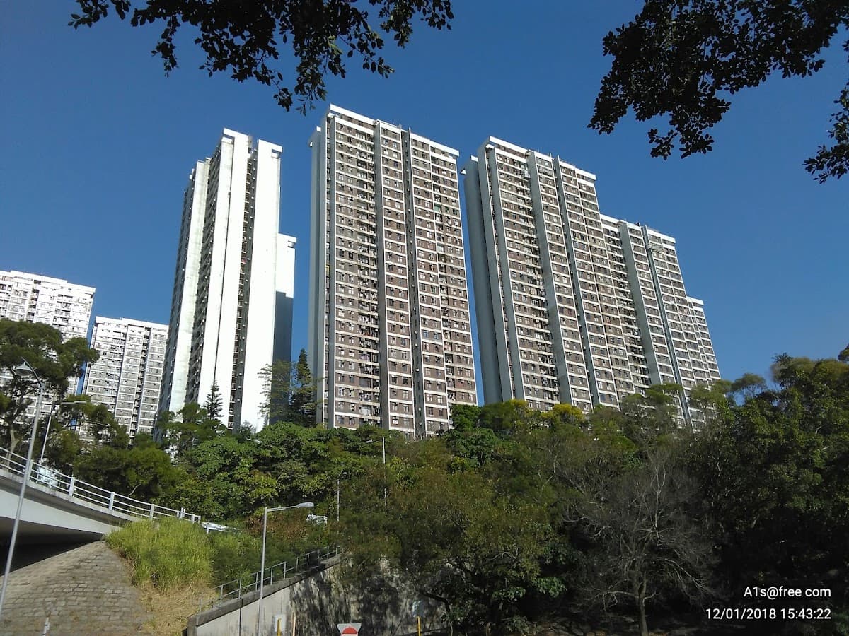 置富花園 Chi Fu Fa Yuen 停車場 實景照片 6