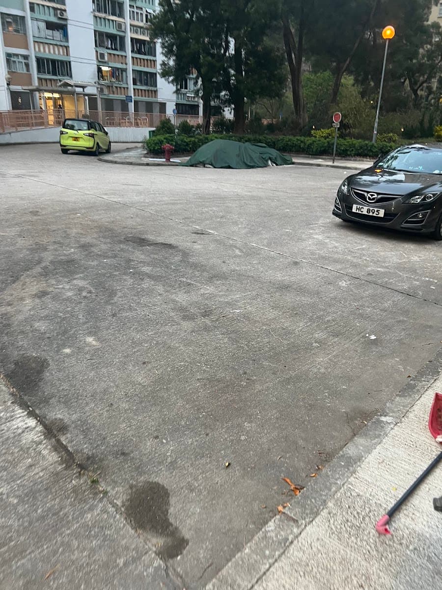 順緻苑停車場 實景照片 10