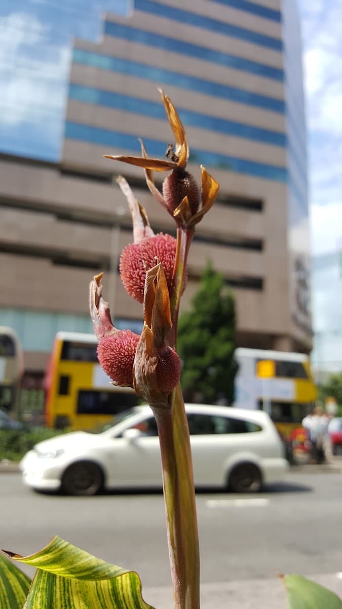 長沙灣貿易廣場 Trade Square 停車場 實景照片 9