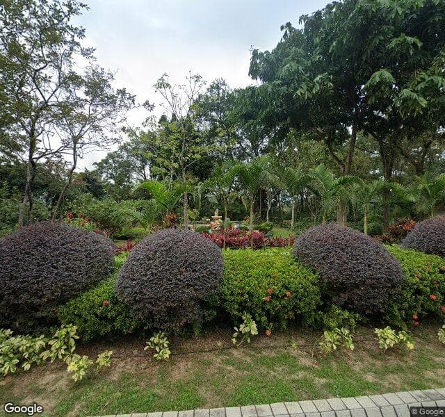 大埔滘公園 (近大埔公路)咪錶