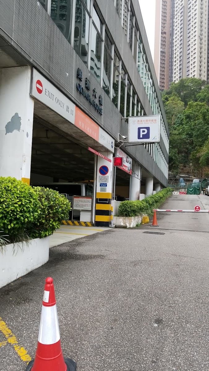 奧運大樓停車場 (掃桿埔) 實景照片 1