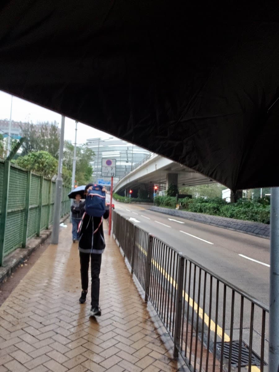 京士柏運動場停車場 實景照片 9