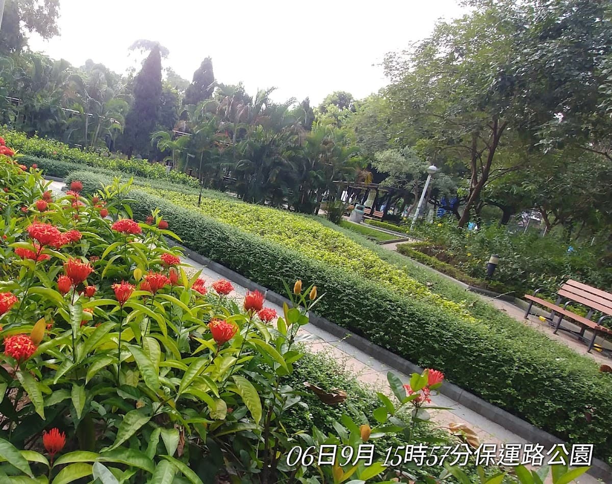 上水寶石湖路露天停車場 實景照片 6