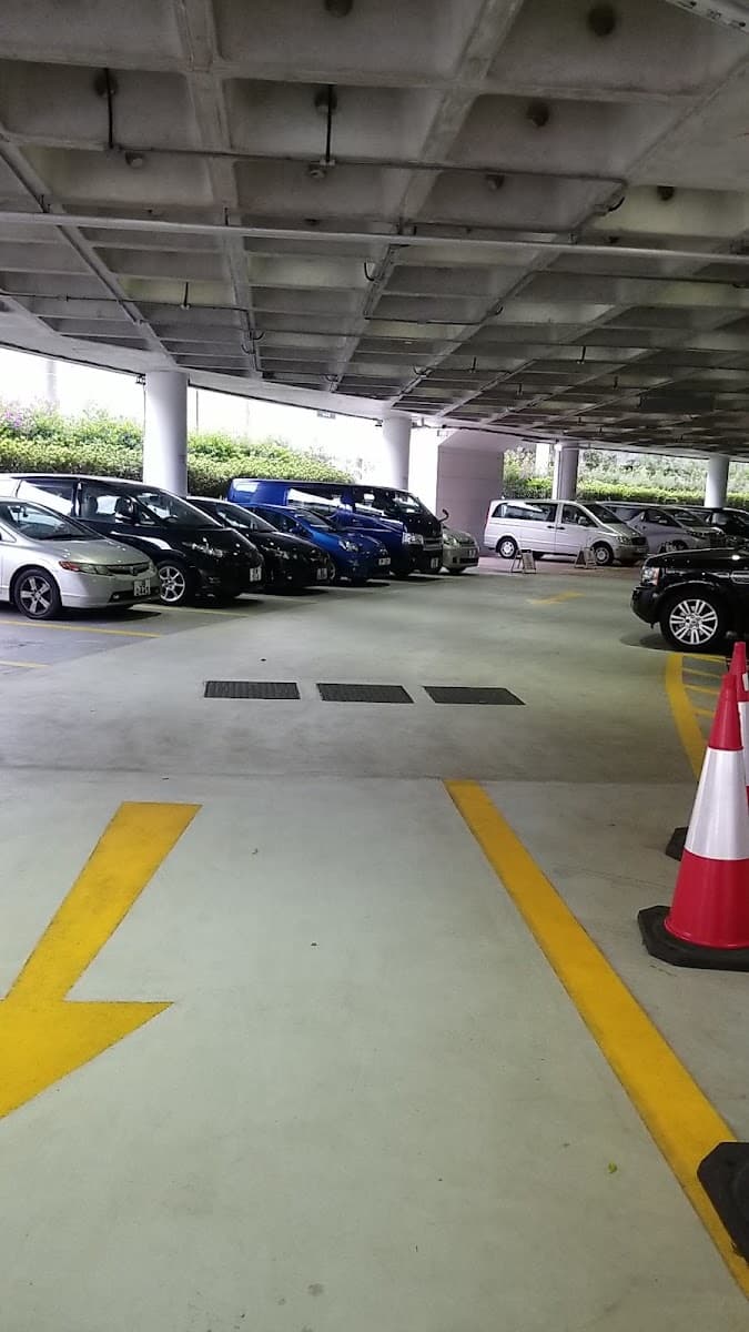 奧運大樓停車場 (掃桿埔) 實景照片 2