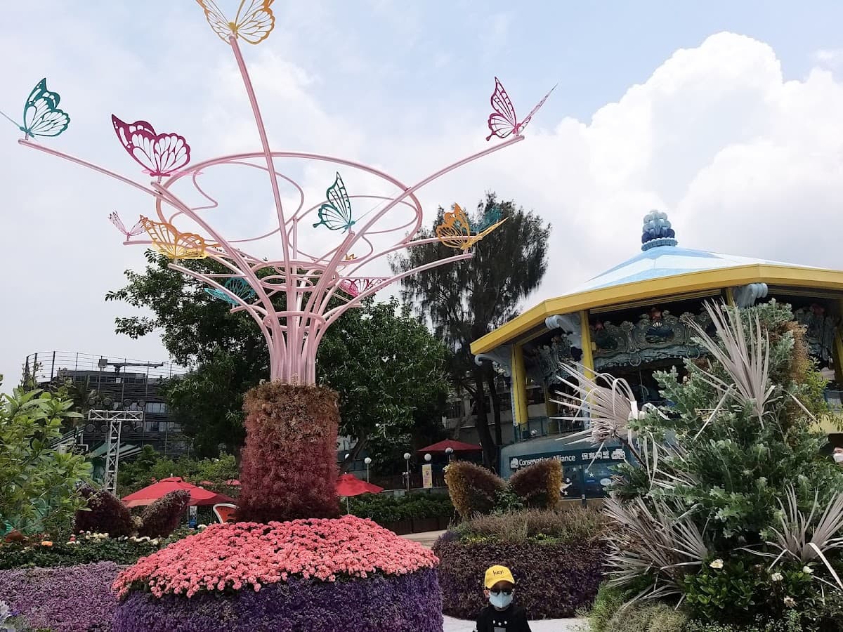 海洋公園停車場 Ocean Park Car Park 實景照片 7