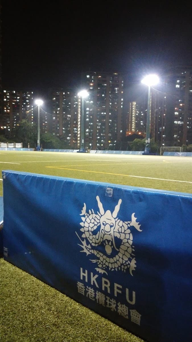 京士柏運動場停車場 實景照片 6