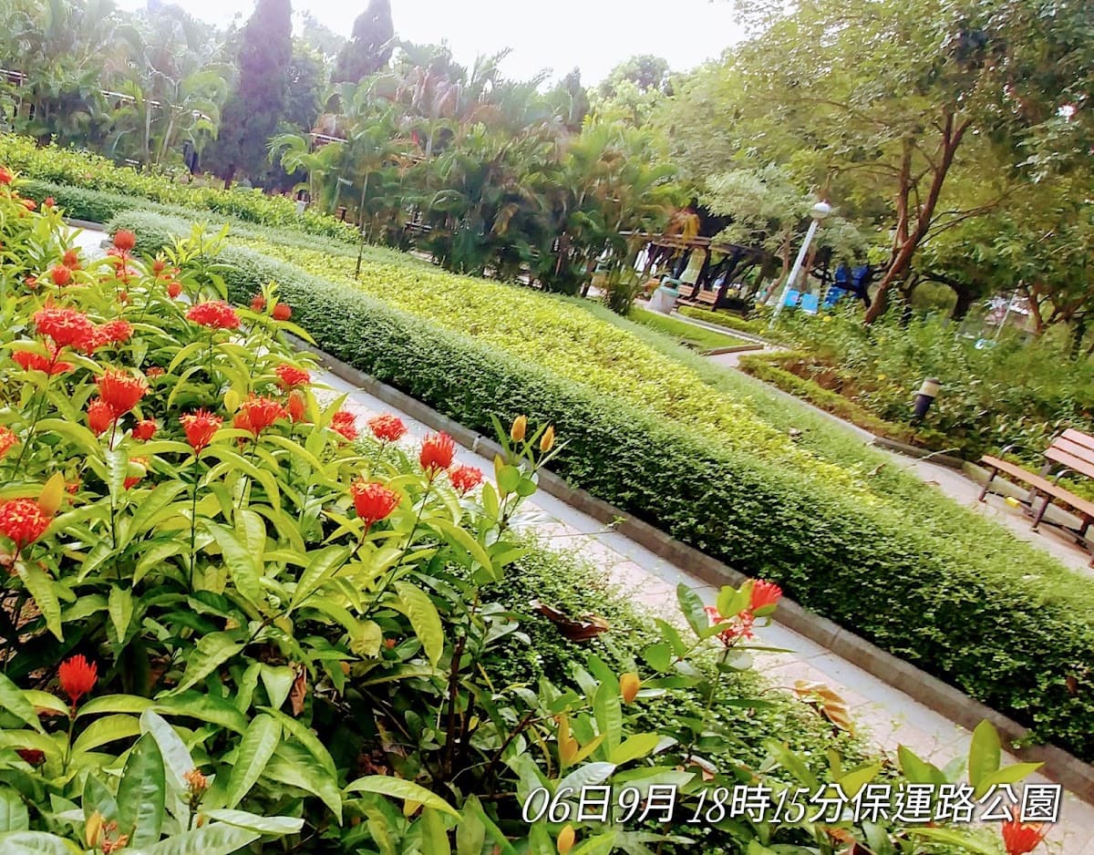 上水寶石湖路露天停車場 實景照片 5
